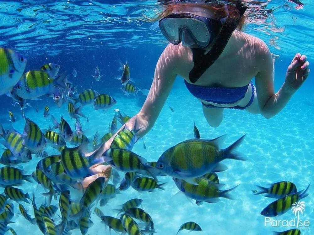 Paradise Beach Backpackers Hostel Patong المظهر الخارجي الصورة